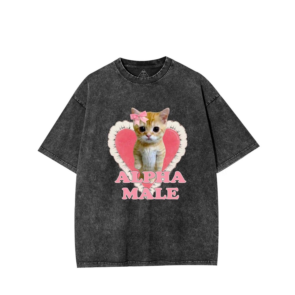 Alpha Male Kitten Graphic Tee Acid Wash Oversized Grey T-Shirt